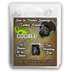 CoCall Wild turkey Cocall Turkey