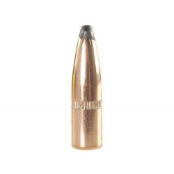 Win Power Point cal .22 55 gr 100/bag Winchester Ammunition Winchester