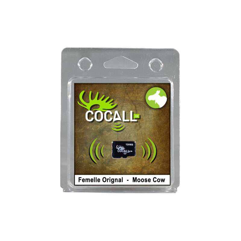 CoCall Femelle Orignal Cocall orignal