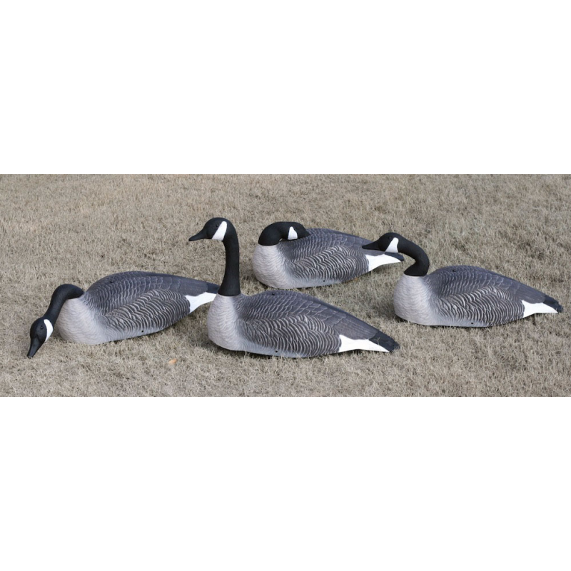 G&H Canada Honker Super Magnum Shell 6/packs  Decoys