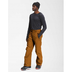 The North Face Men's Seymore Pant - Timber Tan Size (Clothing