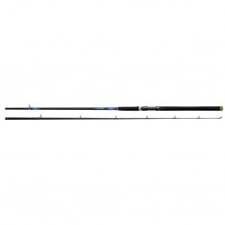 Daiwa Beefstick Rod 12' Daiwa Fly Rods