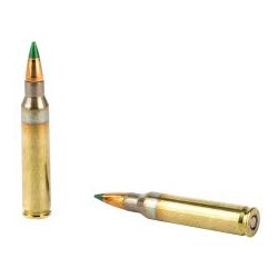 Winchester USA 5.56mm Nato 62 gr FMJ Green Tip 1000 balles Winchester Ammunition Winchester
