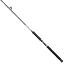 Daiwa Great Lakes Rod 9'6'' 2 pcs Daiwa Spinning Rods