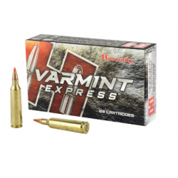 Hornady Varmint 204 Ruger 32 gr V-MAX Hornady Hornady