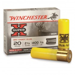 Winchester Super X BRI 20 Ga 2 3/4'' Sabot Slug Winchester Ammunition Slug & Buckshot