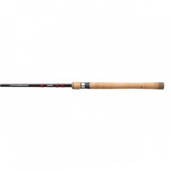Shimano Convergence 66 MH 2pc SPN D Shimano Spinning Rods