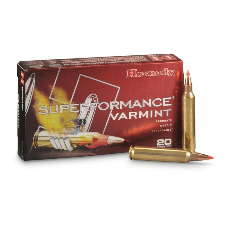 Hornady Superformance Varmint 243 Win 75 gr V-MAX Hornady Hornady