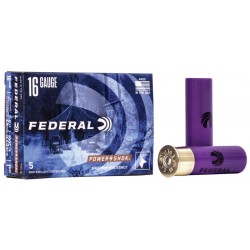 Federal 16 Ga 2 3/4'' 1 Buck Federal ( American Eagle) Slug & Buckshot