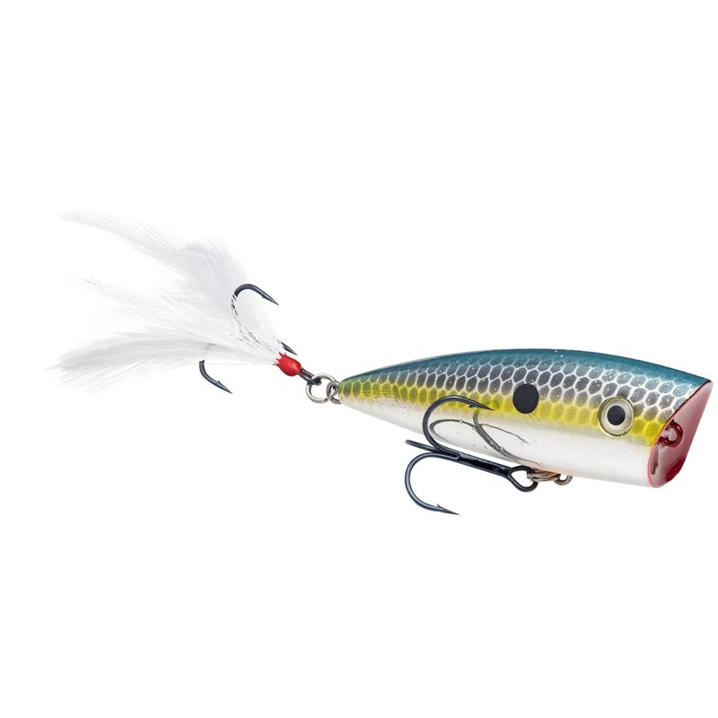 Strike king KVD Splash Chrome sexy shad