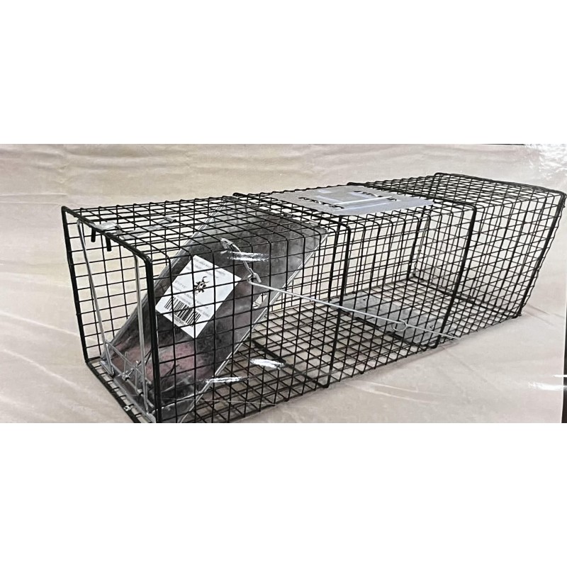 CAGE PIÈGE À RATON LAVEUR  Magasiner tout