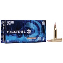 Federal 243 Win 100gr S.P. Federal ( American Eagle) Federal