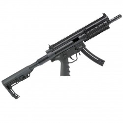 GSG-16 22 lr canon court GSG German Sport Guns / ISSC