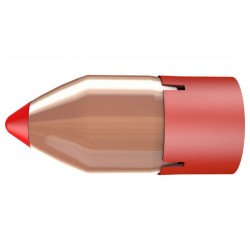 Hornady Bore Driver Cal .50 290gr FTX Hornady Chargement par la bouche