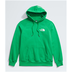 North Face W Places we Love Hoodie Emerald