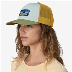 Patagonia P-6 logo Trucker Hat Wispy green - ALL Patagonia Hats