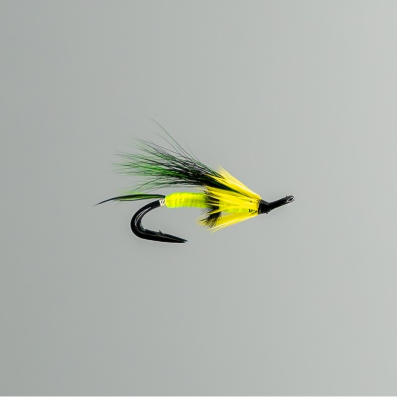 Colburn  Flies Salmon