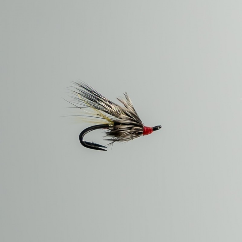 Black Rat  Flies Salmon