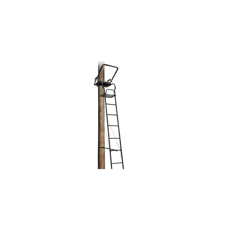 Big dog ladder clearance stands