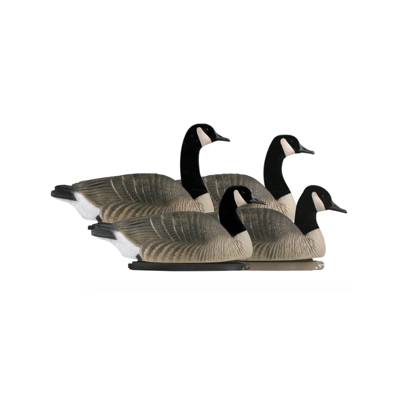 GHG Canada Goose Floater 4/packs  Decoys