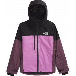 North Face Women Dawnstrike GTX Insulated Jacket Drago THE NORTH FACE Home