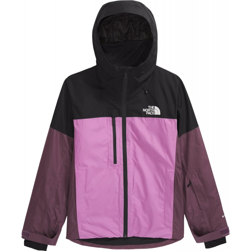 North Face Femme Dawnstrike GTX Insulated Manteau Drago THE NORTH FACE Magasiner tout