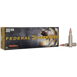 Federal Premium 300 WSM 180gr Partition Federal ( American Eagle) Federal