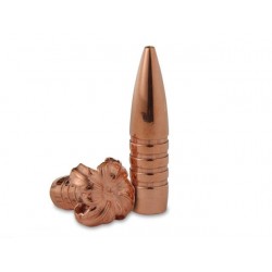 Barnes Vor-tx 7mm Rem Mag 160 Gr TSX - Barnes - sporteque.ca