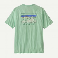 Patagonia 73 Skyline orgonic T-Shirt Rinsed Vert Pour Homme - Patagonia - sporteque.ca