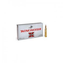 Win Super X 348 Win 200 gr ST Winchester Ammunition Winchester
