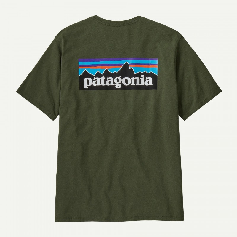 Patagonia Men's L/S P-6 logo Responsible-Tee Torrey Pine Green - Patagonia - sporteque.ca