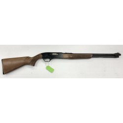 Usagé Winchester 290 22 LR - Winchester ( U.S. Reapeating Arms) - sporteque.ca