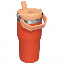 Stanley The IceFlow™ Flip Straw Tumbler | 20 OZ Tigergily - Stanley - sporteque.ca