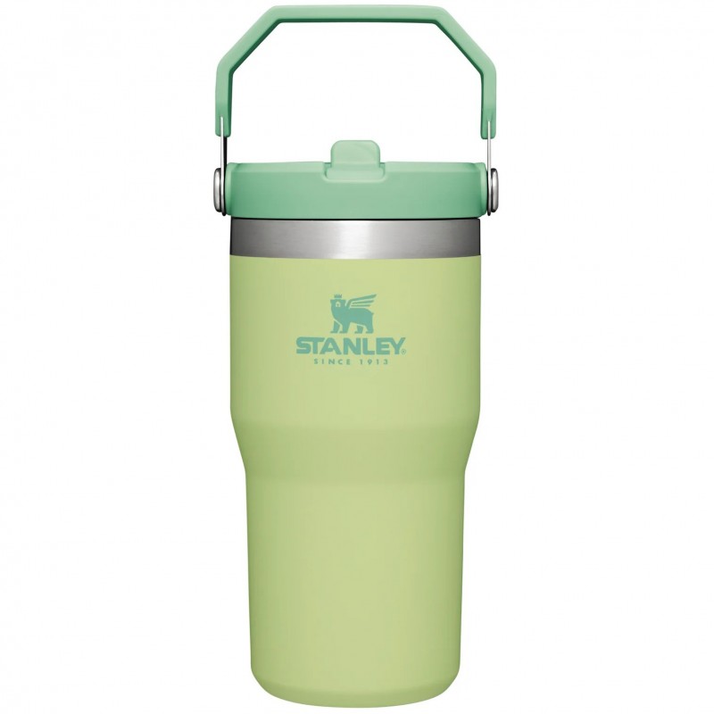 Stanley The IceFlow™ Flip Straw Tumbler | 20 OZ Citron - Stanley - sporteque.ca