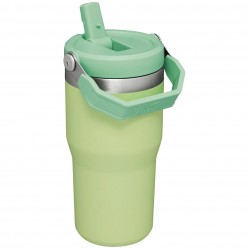 Stanley The IceFlow™ Flip Straw Tumbler | 20 OZ Citron - Stanley - sporteque.ca