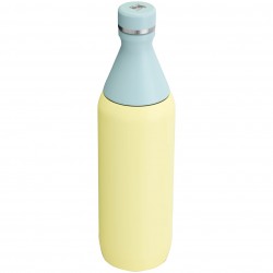Stanley All Day Slim Bottle | 20 OZ Pomelo - Stanley - sporteque.ca