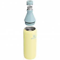 Stanley All Day Slim Bottle | 20 OZ Pomelo - Stanley - sporteque.ca