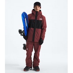 North Face Men Freedom Insulated Jacket Sumac/Tnf Black - THE NORTH FACE - sporteque.ca