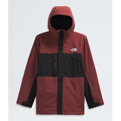 North Face Men Freedom Insulated Jacket Sumac/Tnf Black - THE NORTH FACE - sporteque.ca