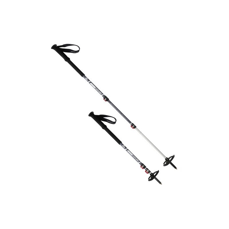 MSR Poles Dynalock Explore AI3-sec - MSR - sporteque.ca