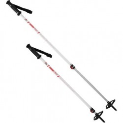 MSR Poles Dynalock Trail AL2-Sec - MSR - sporteque.ca