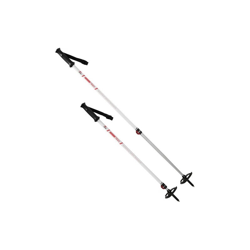 MSR Poles Dynalock Trail AL2-Sec - MSR - sporteque.ca