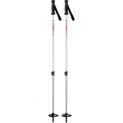 MSR Poles Dynalock Trail AL2-Sec - MSR - sporteque.ca