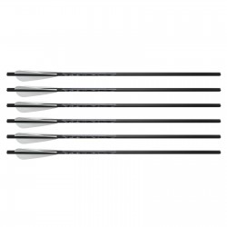 Excalibur Flèches FireBolt 20"