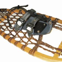 GV Ratchet Technology Bindings