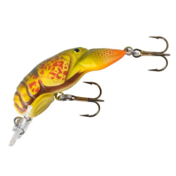 Rebel Middle Wee Crawfish...
