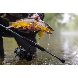 St-Croix Trout Series Spinning Rods 6'6'' ML 2 pcs - St.Croix - sporteque.ca