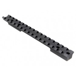 EGW Picatinny Rail Savage LA - EGW Evolution Gun Works Inc - sporteque.ca