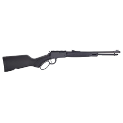 Henry H1 X Lever Action 22 L.R. - Henry Repeating Arms - sporteque.ca