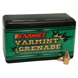 Barnes Bullet Varmint Grenade .243 62 gr  Barnes Barnes